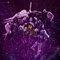 EARLY BIRD. SubRosaDictum. SpaceIntruders.